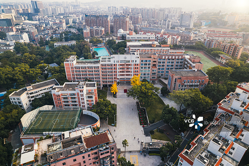 福建师大附中银杏树航拍图片素材