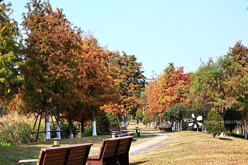 马銮湾双溪湿地公园图片素材