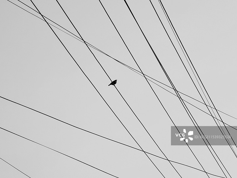 《交织》图片素材