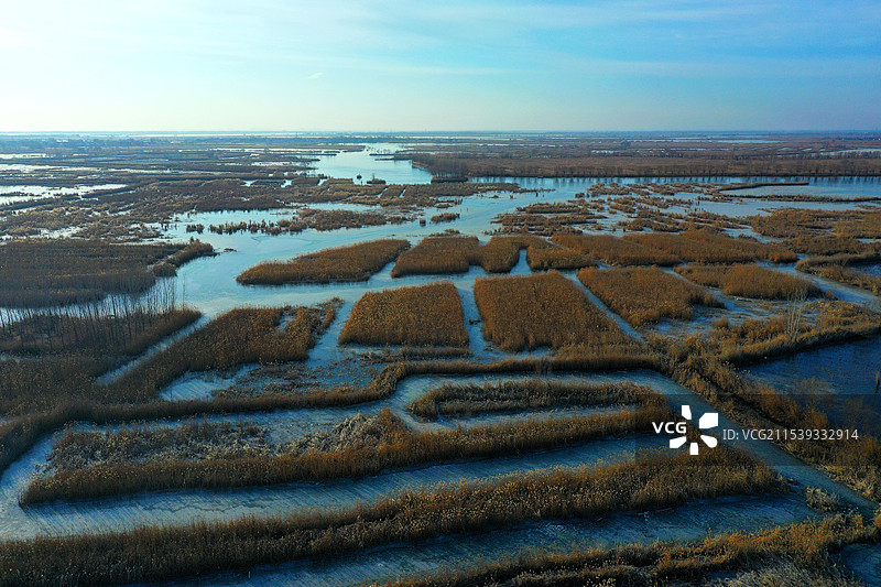 浩瀚白洋已结冰，寒鸟野鸭深水行枯荷芦花寒风摇，北国风光万种情郭里口图片素材