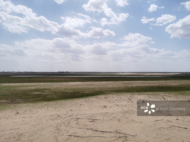内蒙古鄂尔多斯市乌审旗 牧民家 沙地草原 牛羊 蒙古包图片素材