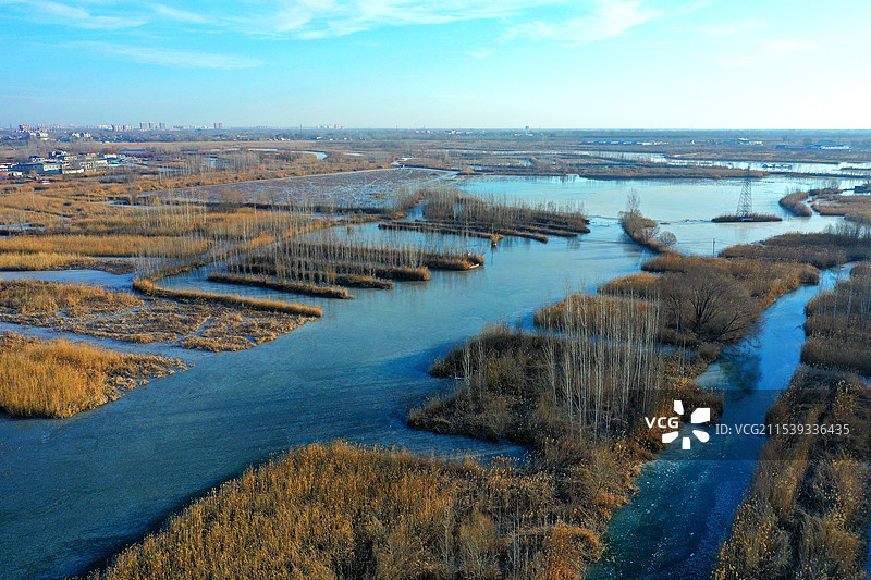浩瀚白洋已结冰，寒鸟野鸭深水行枯荷芦花寒风摇，北国风光万种情郭里口图片素材
