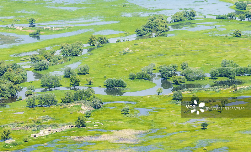 新疆 航拍额尔齐斯河 广阔无垠的绿色湿地图片素材