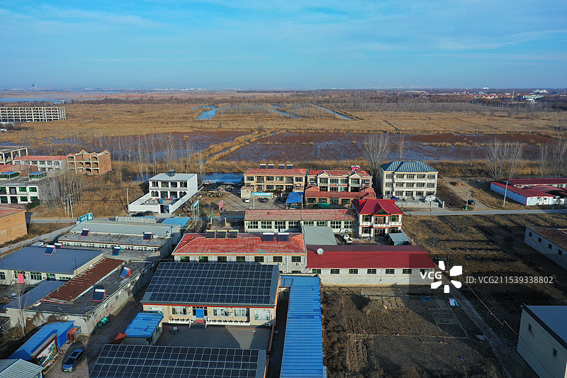 浩瀚白洋已结冰，寒鸟野鸭深水行枯荷芦花寒风摇，北国风光万种情郭里口图片素材