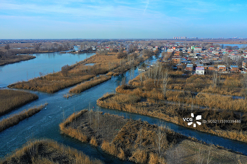 浩瀚白洋已结冰，寒鸟野鸭深水行枯荷芦花寒风摇，北国风光万种情郭里口图片素材