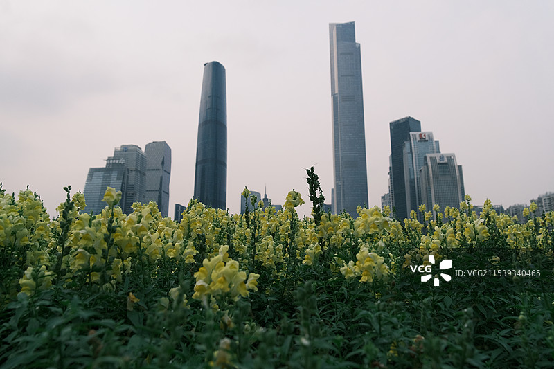 广州海心沙公园图片素材