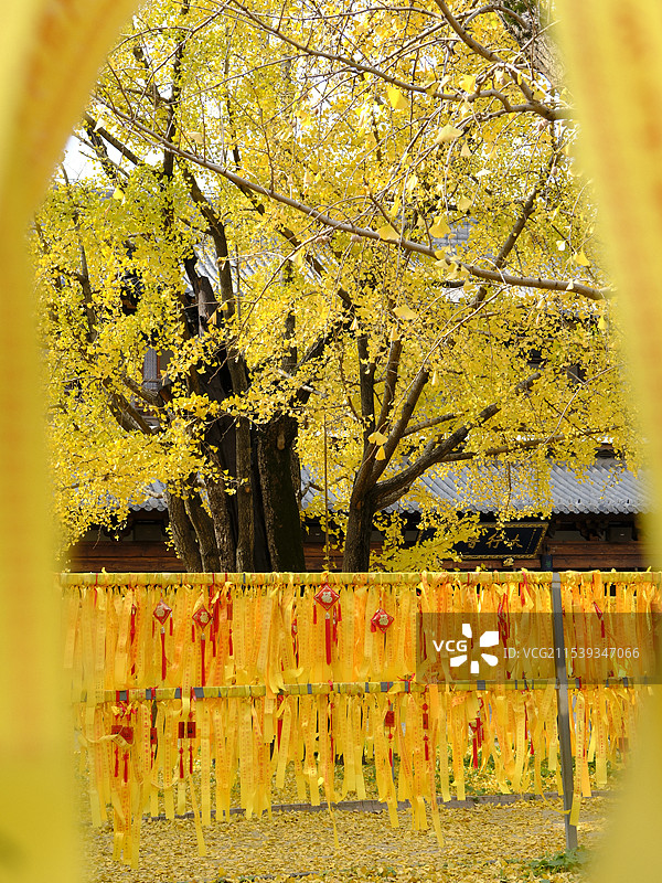上海真如寺 Zhenru Temple in Shanghai图片素材