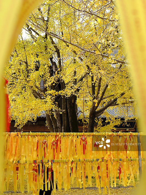上海真如寺 Zhenru Temple in Shanghai图片素材