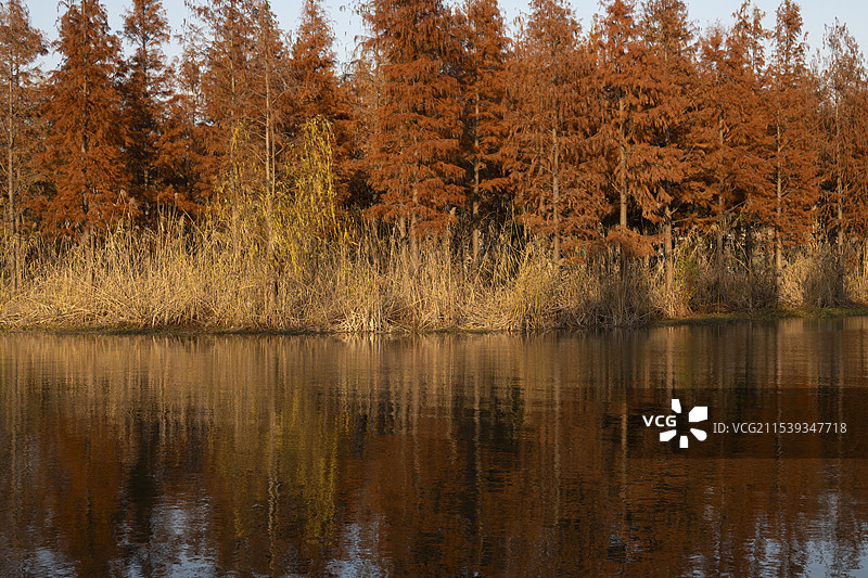 秋意湖畔的剪影-一片宁静的湖泊，湖水深邃而清澈，呈现出深蓝色调，宛如一面镜子反射着天空的颜色。湖边，图片素材