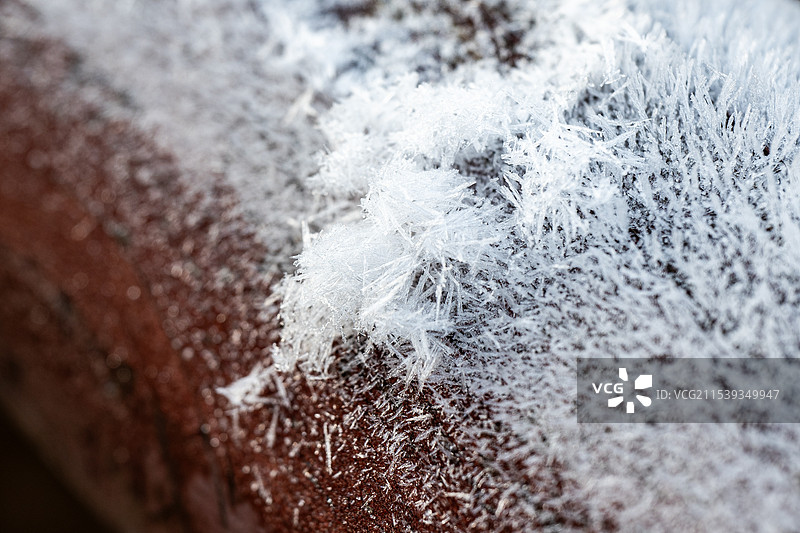 虎丘湿地公园图片素材