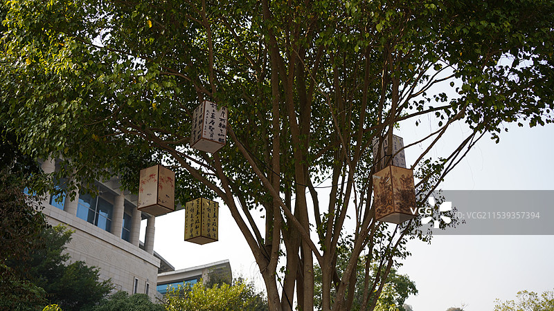 广西南宁广西民族村图片素材