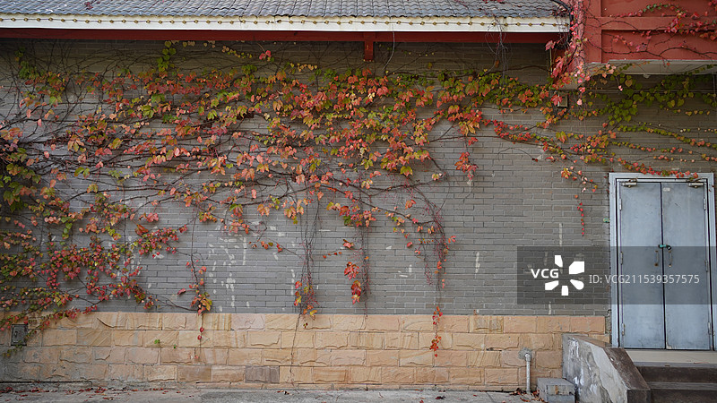 广西南宁广西民族村图片素材