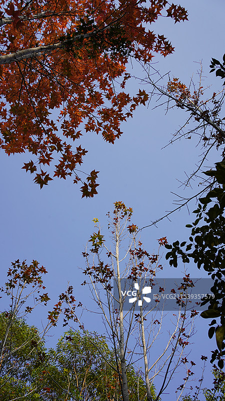广西南宁广西民族村图片素材