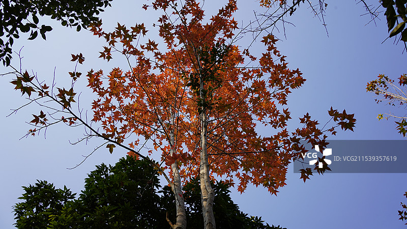 广西南宁广西民族村图片素材