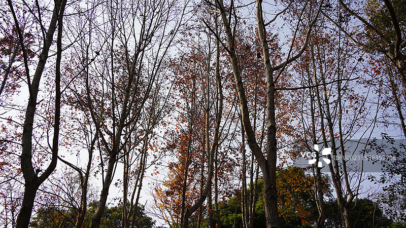 广西南宁广西民族村图片素材