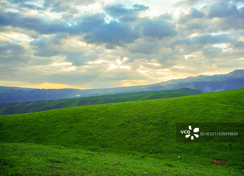 新疆伊犁的大草原图片素材
