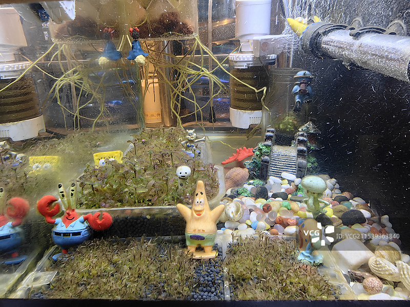 鱼缸水景相关图片素材