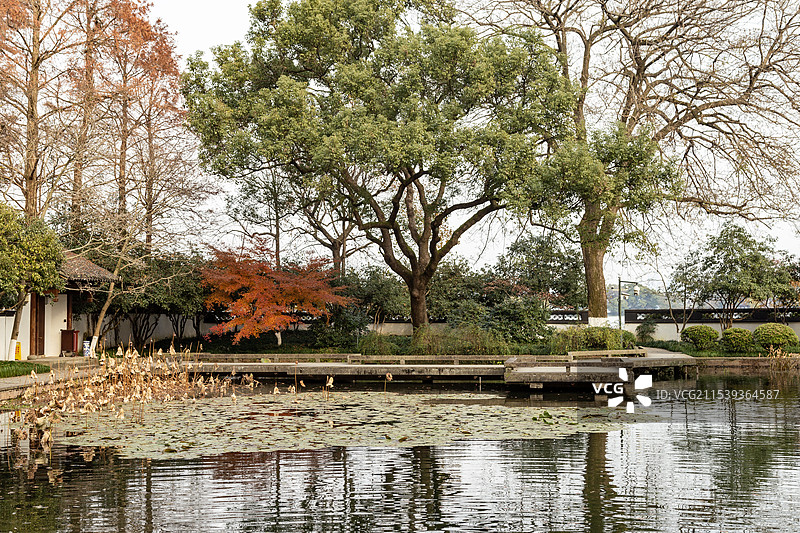 杭州西湖 曲院风荷 郭庄图片素材