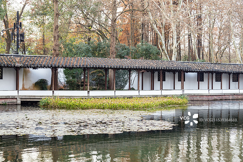 杭州西湖 曲院风荷 郭庄图片素材