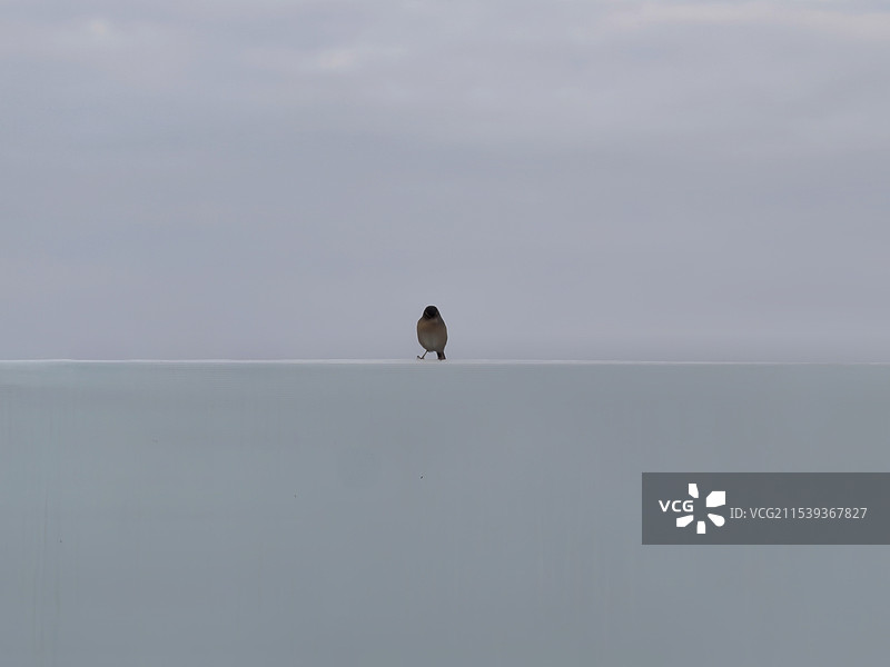 中心点图片素材