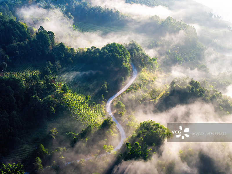 航拍云南澜沧雪林平流雾风光图片素材