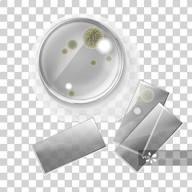 培养皿中的霉菌图片素材