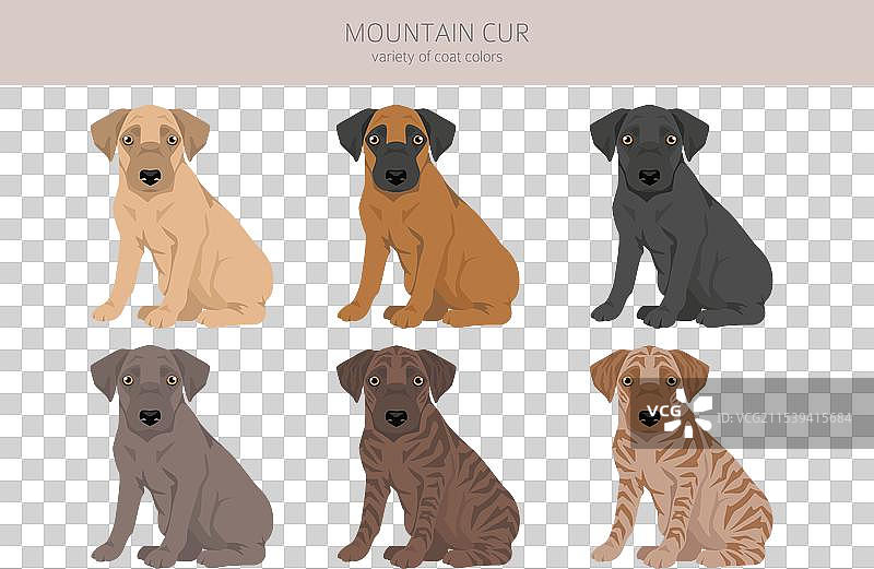山地犬小狗剪贴画，不同姿势和毛色图片素材