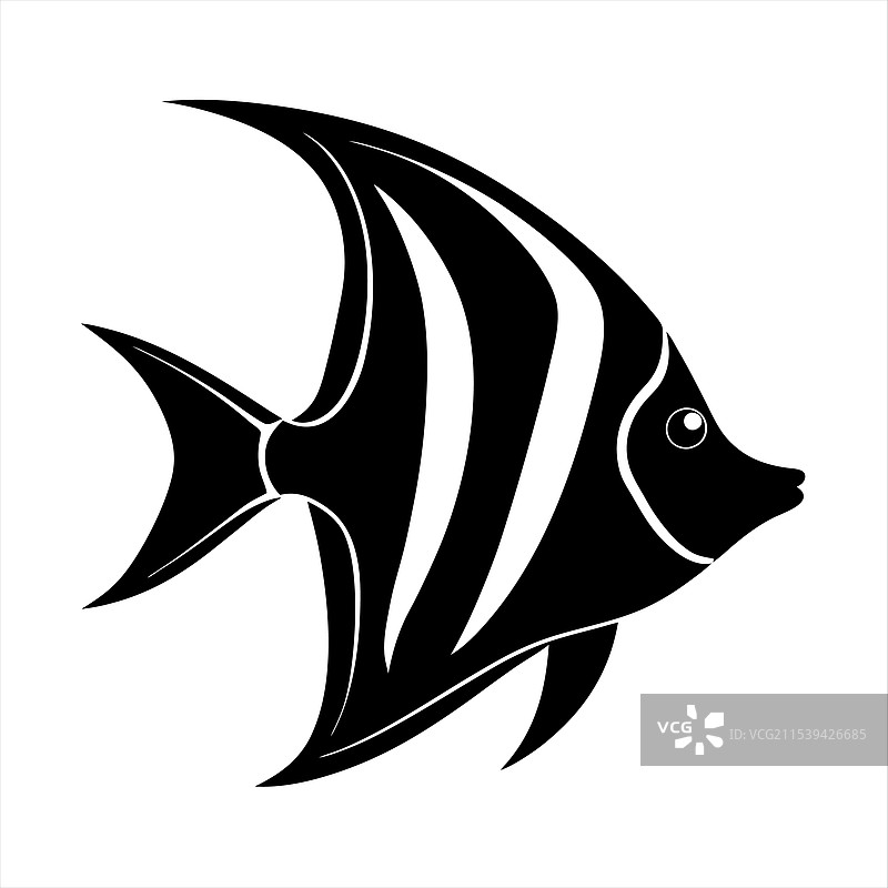 天使鱼剪影图片素材