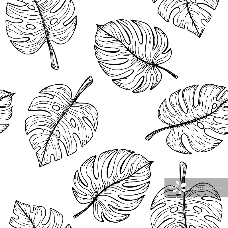 热带龟背竹叶的无缝图案图片素材