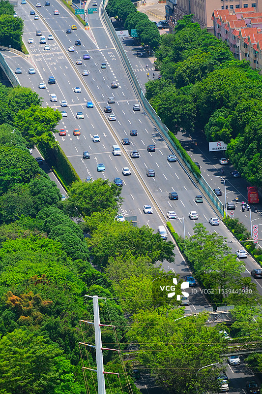 绿树成荫的城市车道图片素材