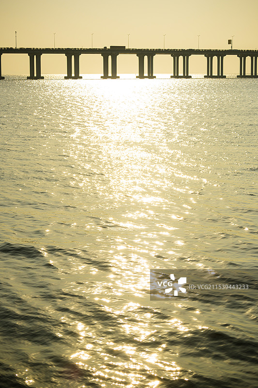 西湾红树林公园与深中通道图片素材