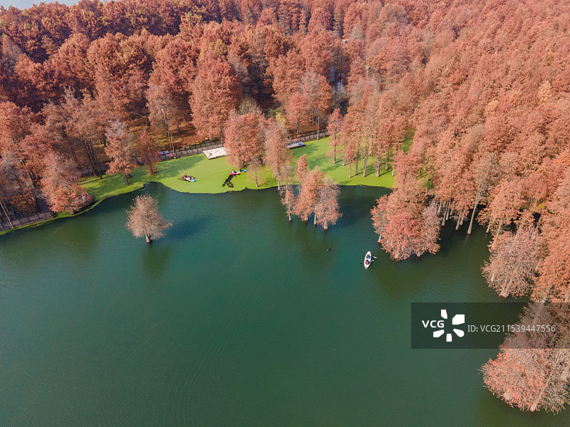 临安青山湖水上森林航拍图片素材