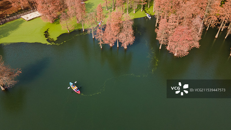 临安青山湖水上森林航拍图片素材