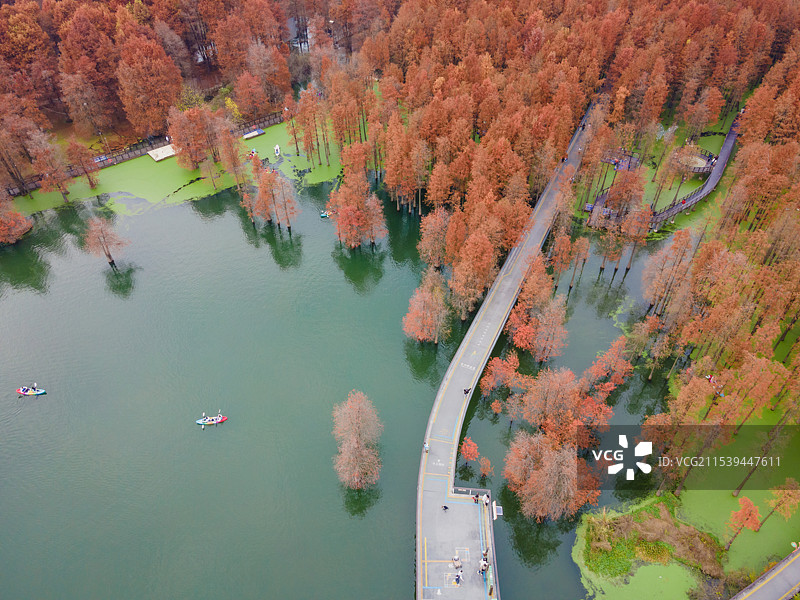 临安青山湖水上森林航拍图片素材