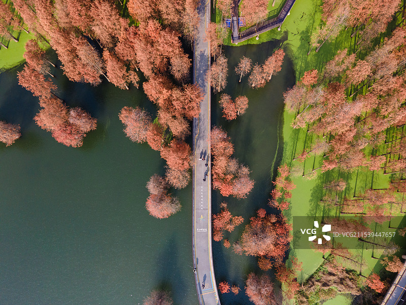 临安青山湖水上森林航拍图片素材