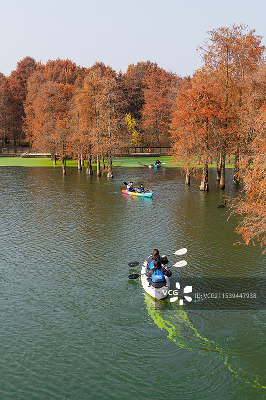 青山湖水上森林公园图片素材
