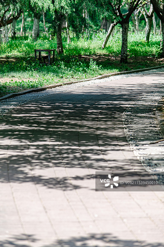 中国城市道路步行道路拍摄主题，延伸的砖地散步道和两侧的花坛绿色植物，户外白昼无人图像摄影图片素材