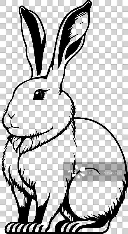 手绘黑色兔子图标，代表农历动物图片素材