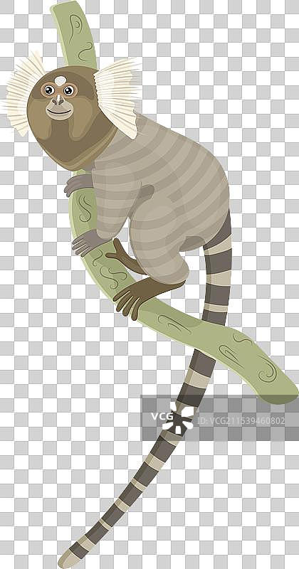 快乐的卡通野生狨猴在异国丛林中图片素材