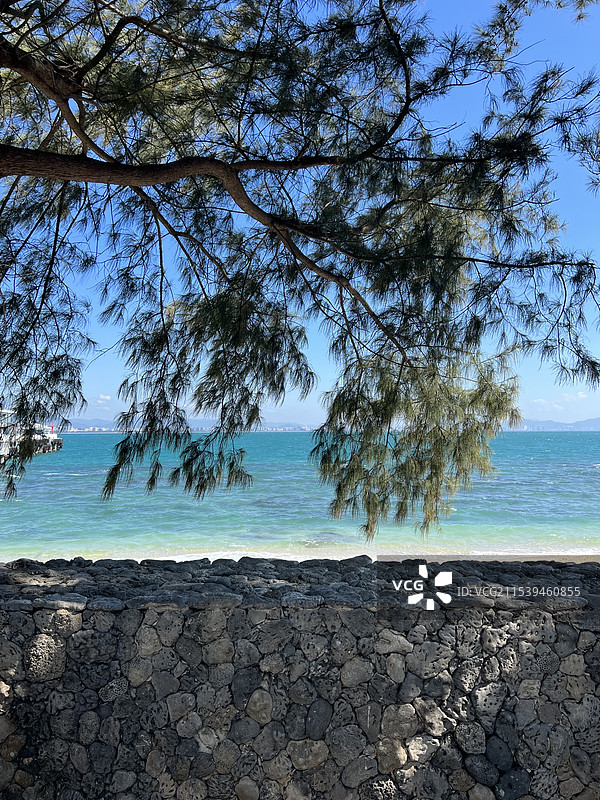 三亚西岛珊瑚墙图片素材