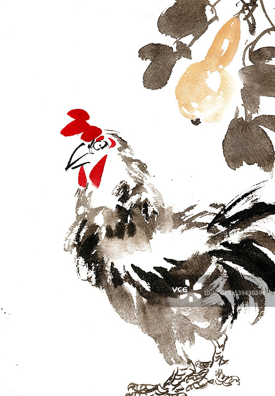 葫芦下的公鸡图片素材