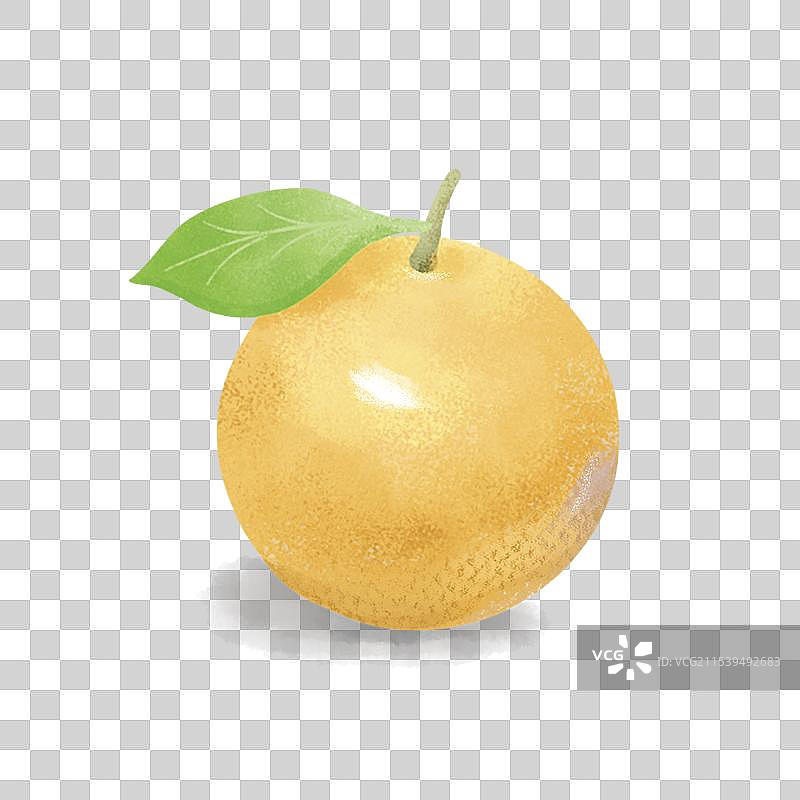 一个橙子图片素材