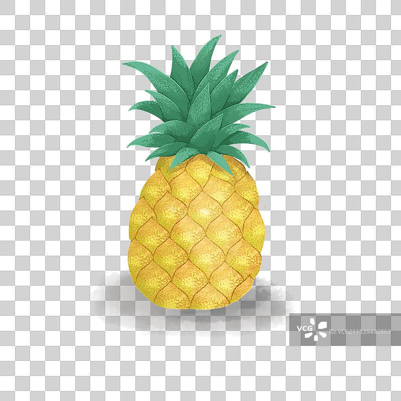 一个菠萝图片素材