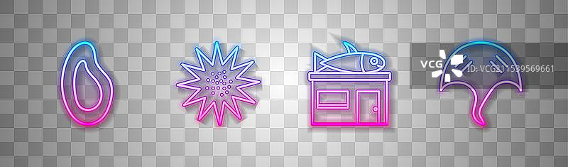 海鲜店的贻贝、海胆和其他海鲜产品图片素材