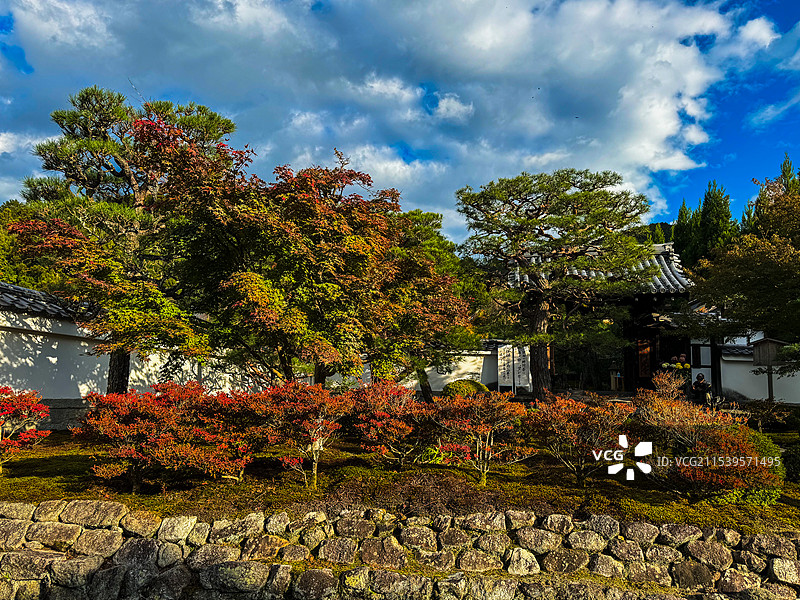 京都 圆光寺 秋天红叶 日式庭院 静谧图片素材