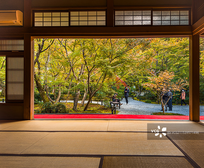 京都 圆光寺 秋天红叶 日式庭院 静谧图片素材