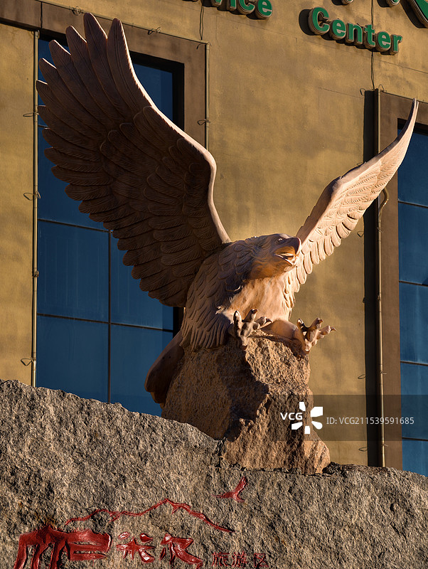 帕米尔之雄鹰展翅图片素材