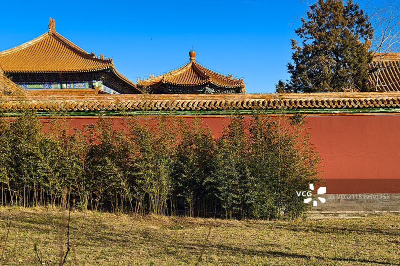 北京景山公园红墙金瓦屋脊图片素材