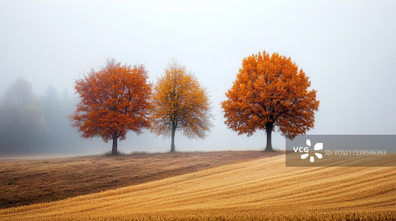 海林烟树图片素材