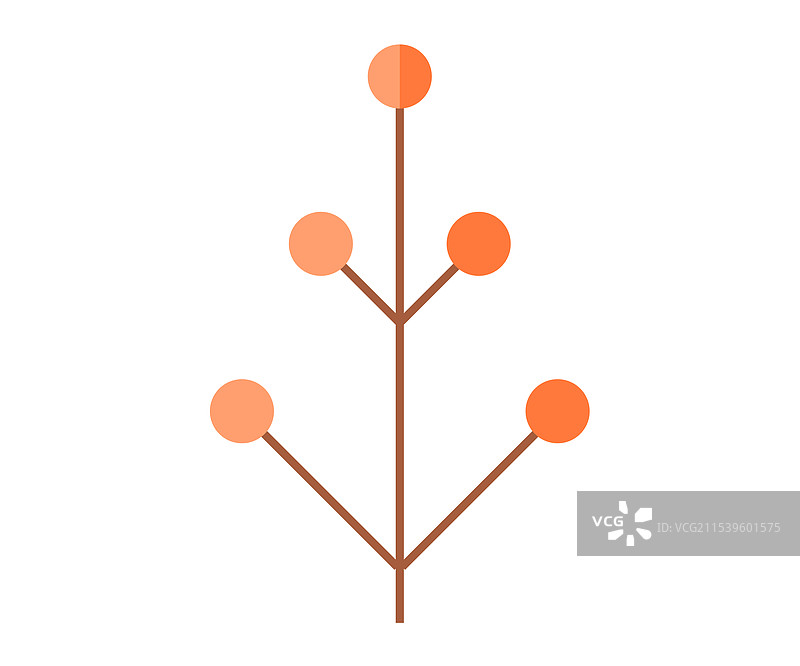 春天的花朵盛开的树木预示着季节的到来图片素材